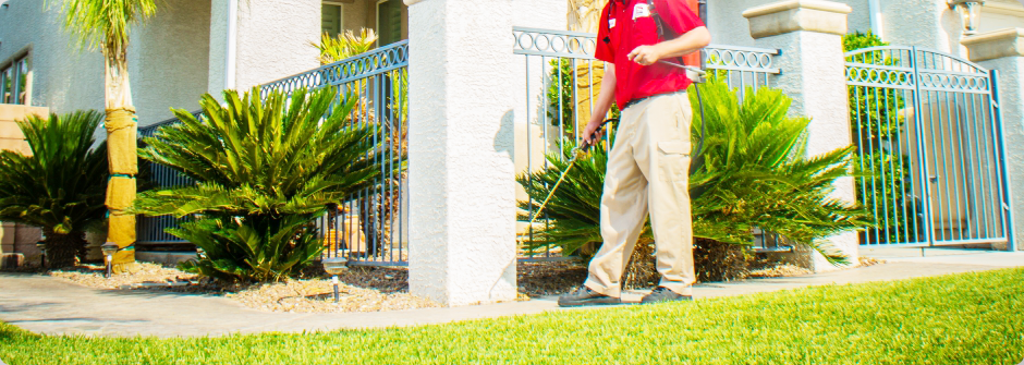 Slider Banner